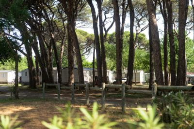 Immagine Perché andare in vacanza fuori stagione al Camping Saint-Aygulf?