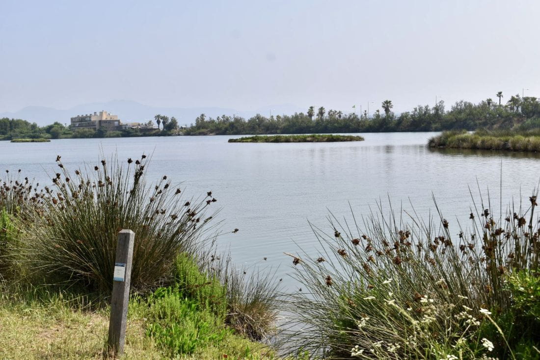 Buon anno 2026 al Camping Saint-Aygulf Plage: pronti per una nuova stagione con i piedi nella sabbia