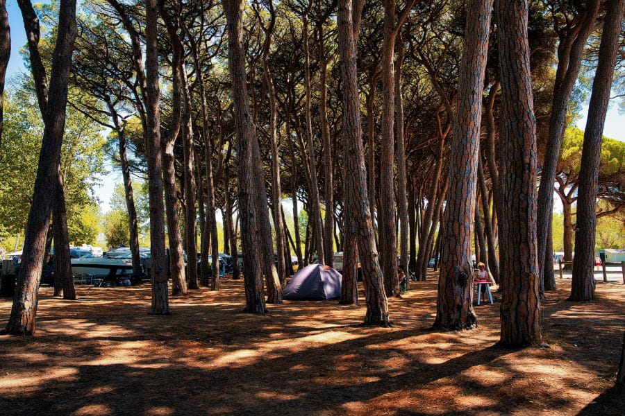 I posti migliori vanno a ruba