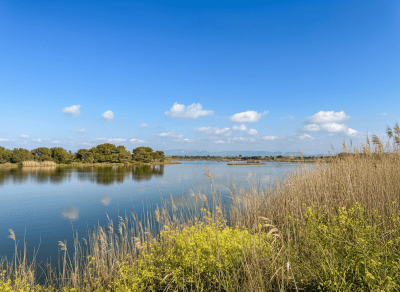 Immagine Marzo a Saint-Aygulf: la primavera è alle porte