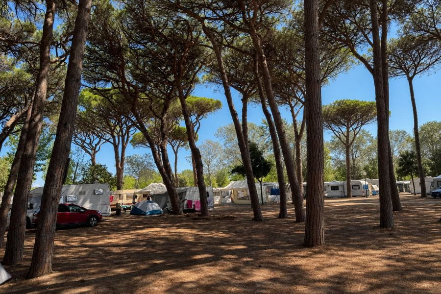 Luglio è alle porte: prenota subito