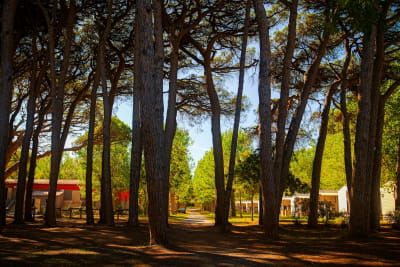 Immagine SETTEMBRE AL CAMPEGGIO SAINT-AYGULF PLAGE: L’ESTATE CONTINUA, IN MODO DIVERSO