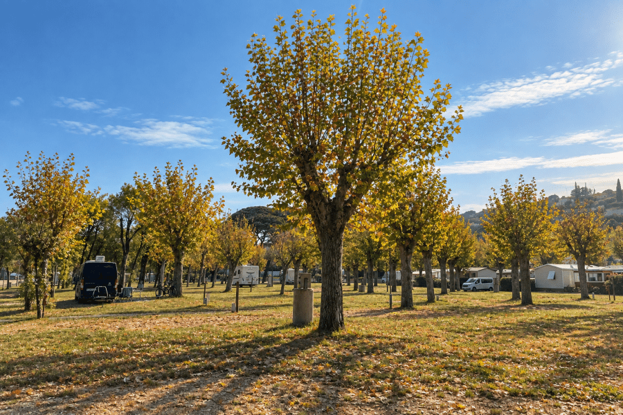 L'ultimo mese per approfittarne